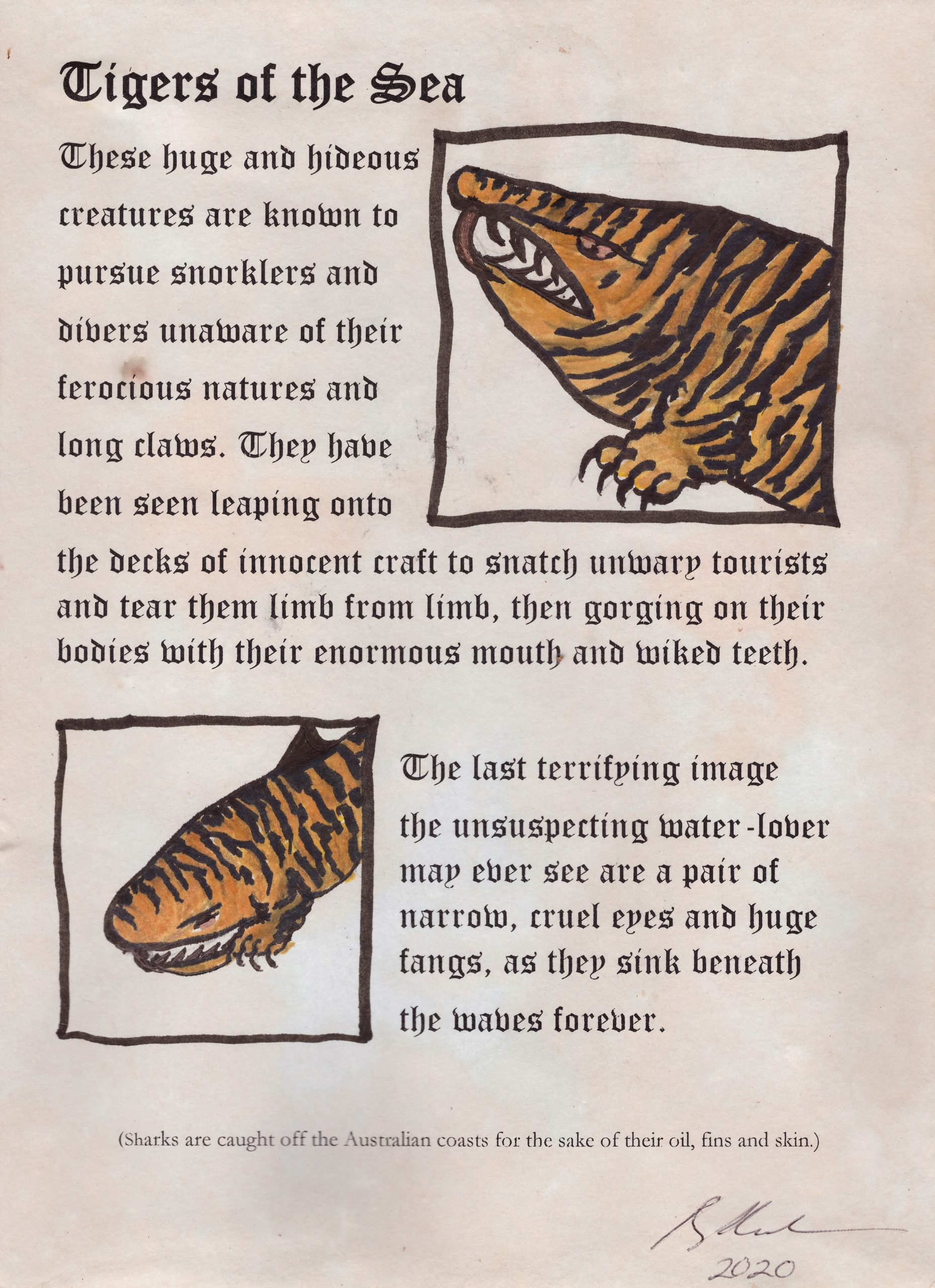 (20) Bronwyn Rodden - Tigers of the Sea Image