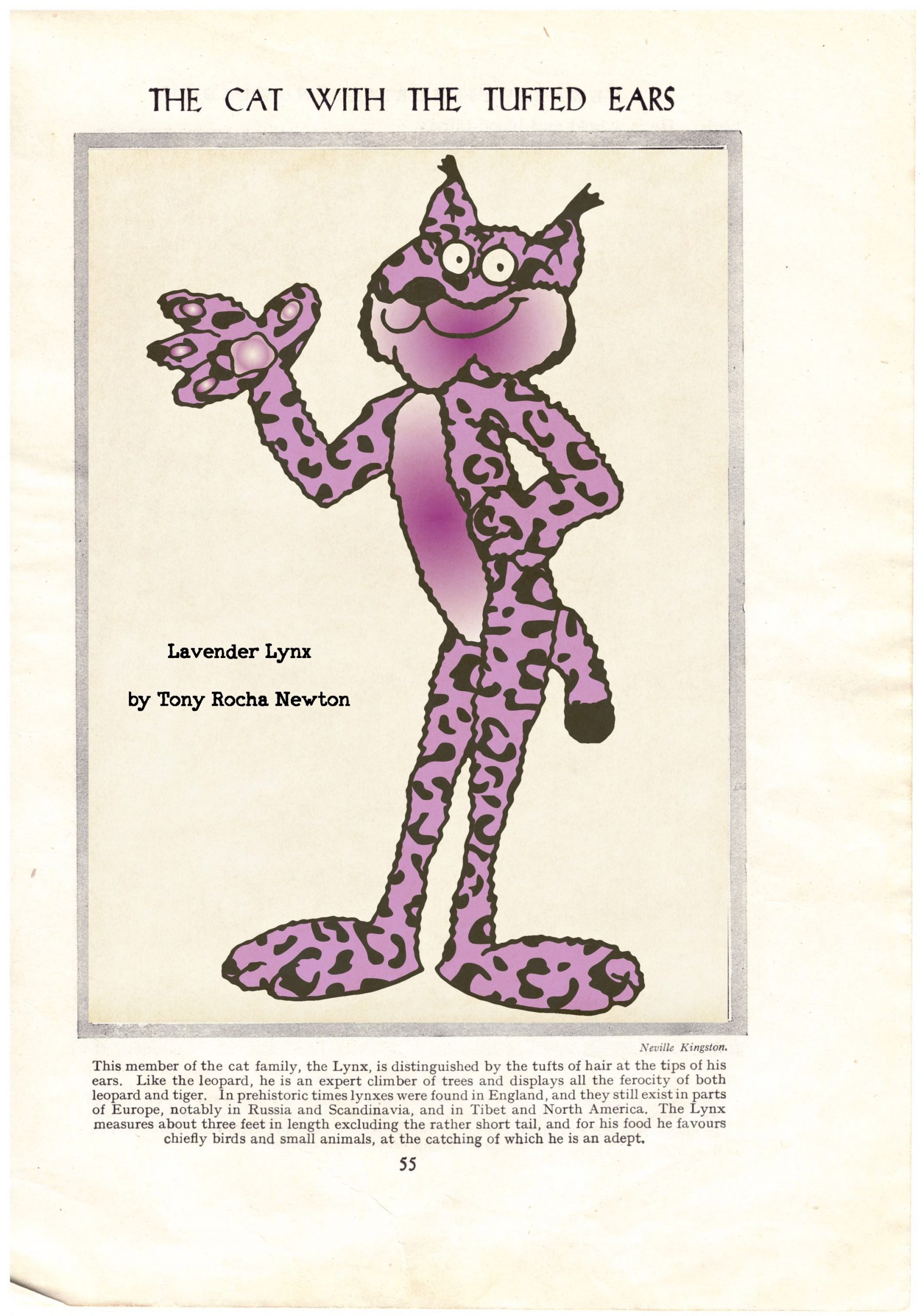 (177) Tony Rocha Newton - Lavender Lynx - The Cat with the Tufted Ears Image
